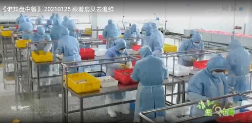 重磅!秦皇島美燁食品亮相CCTV,演繹舌尖上的美味